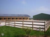 Bienvenue aux Ecuries des Charmes